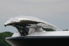 Phoenix2UlrichStreich03.jpg